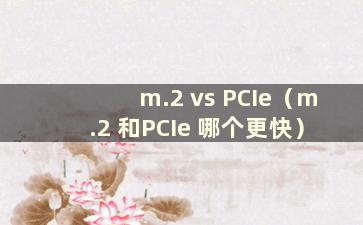 m.2 vs PCIe（m.2 和PCIe 哪个更快）